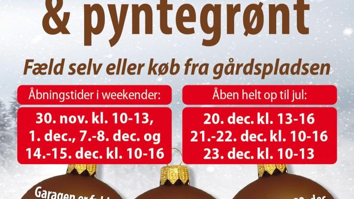Juletræssalg 2024