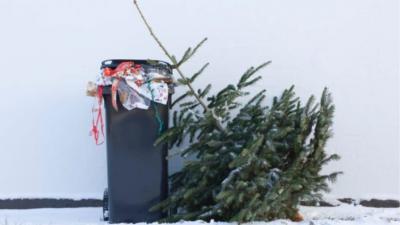 Brugt juletræ